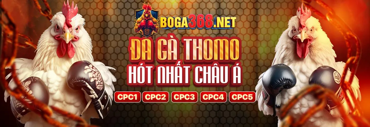 Khuyến Mãi Đặc Biệt Cho Cá Cược Thể Thao